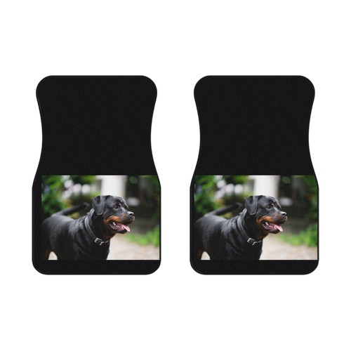 Car mats - car, (2x